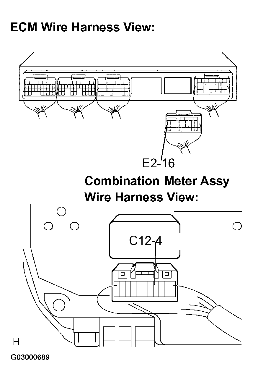 G03000689