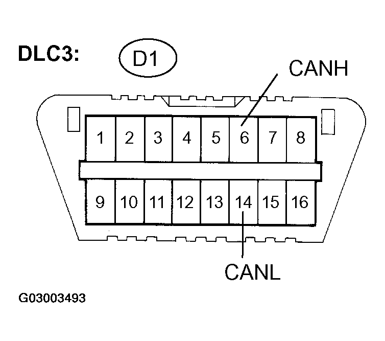 G03003493