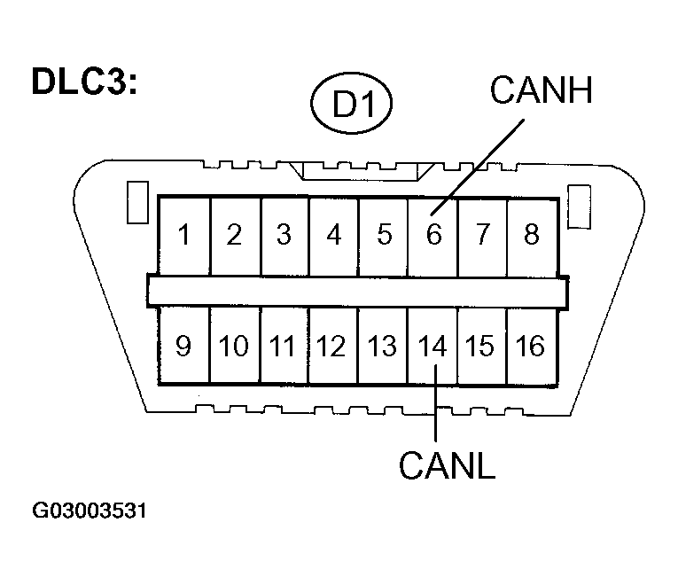 G03003531