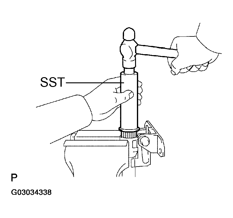 G03034338
