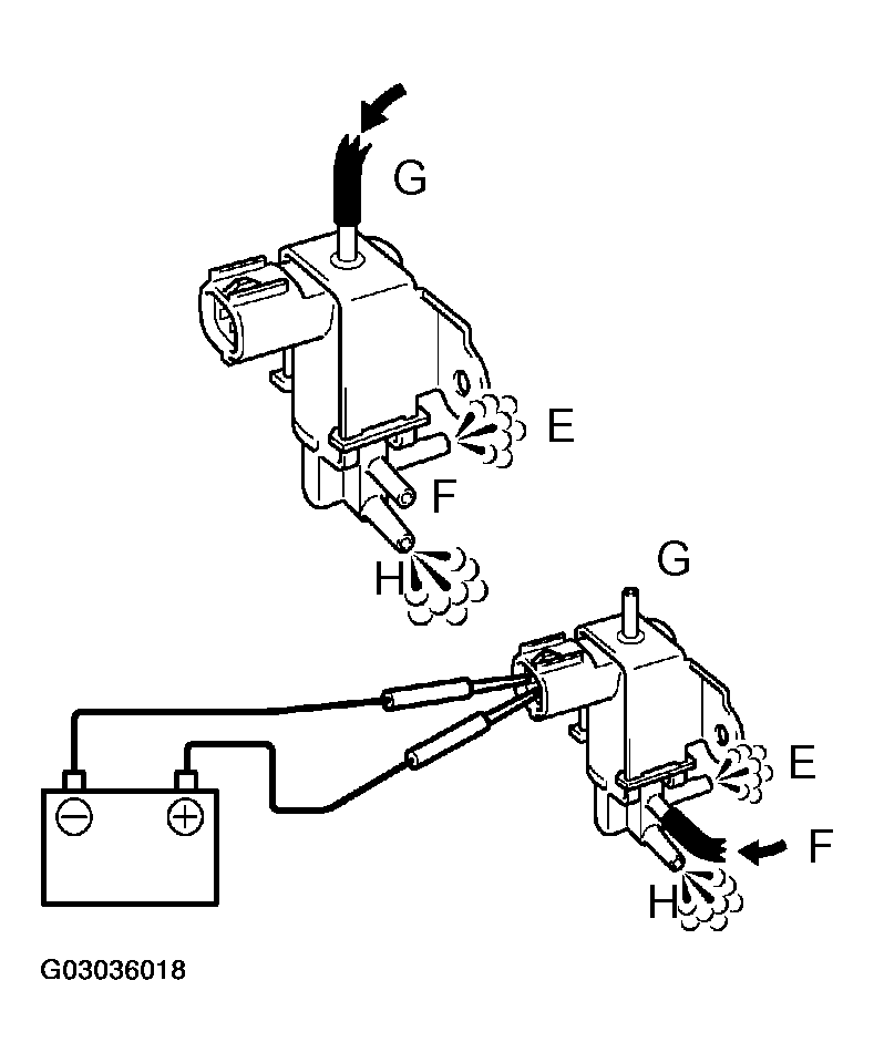 G03036018