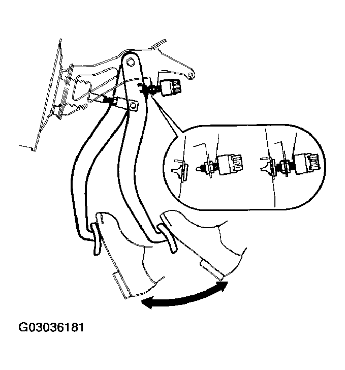 G03036181