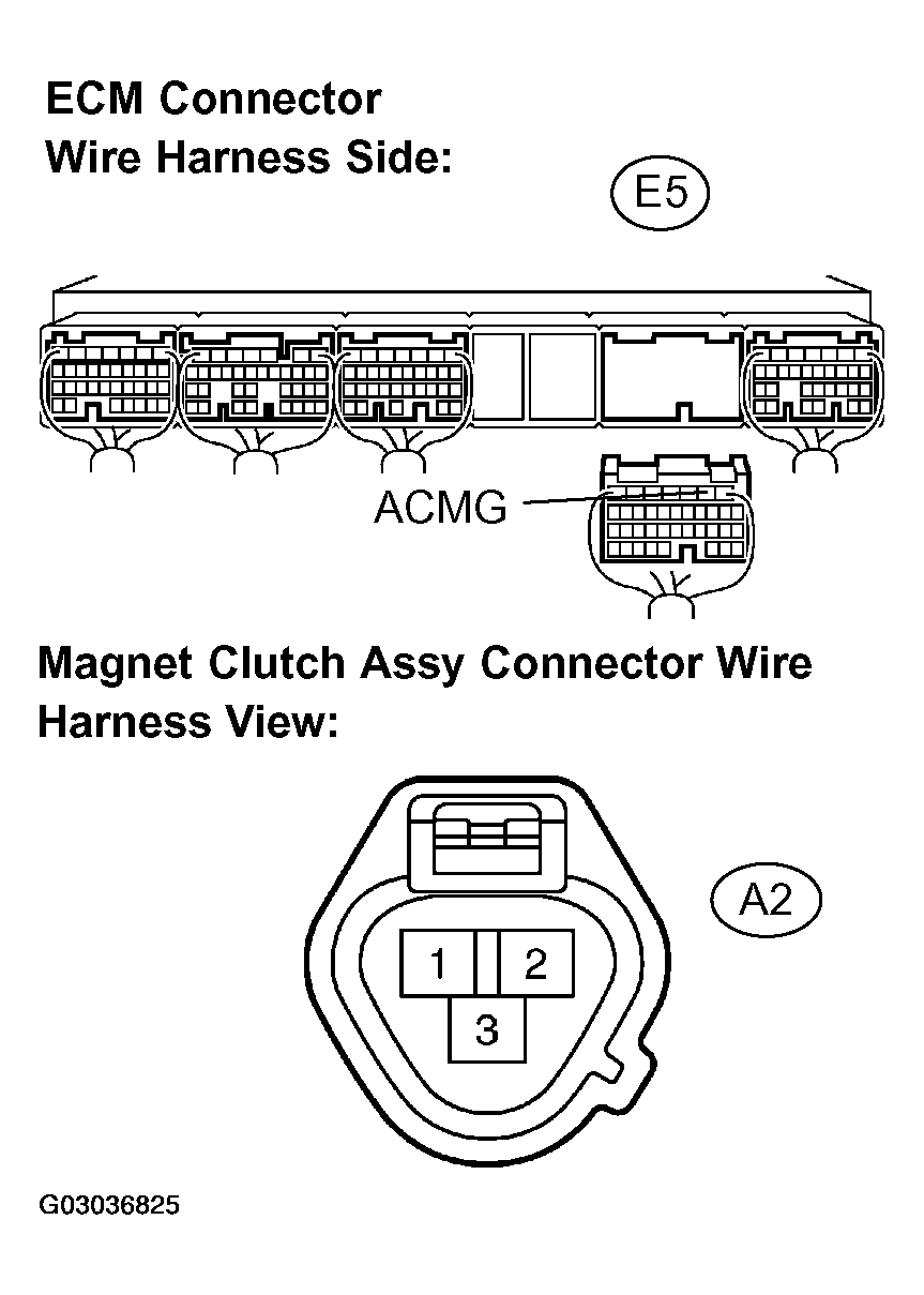 G03036825