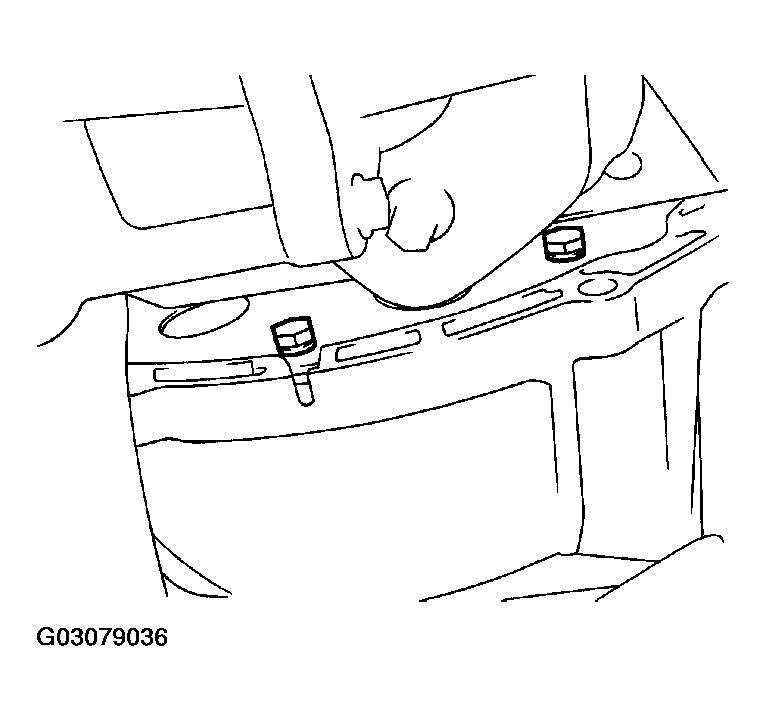 G03079036
