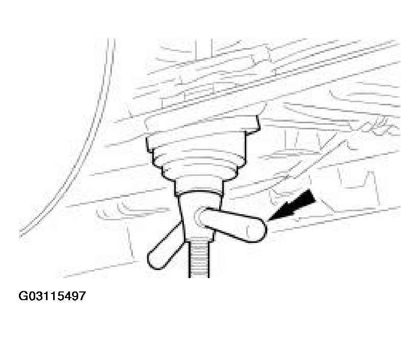 G03115497