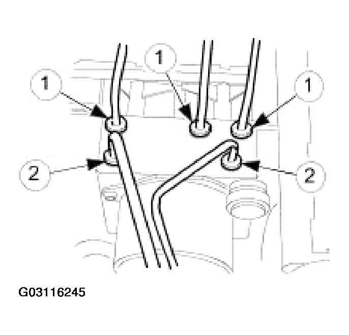 G03116245