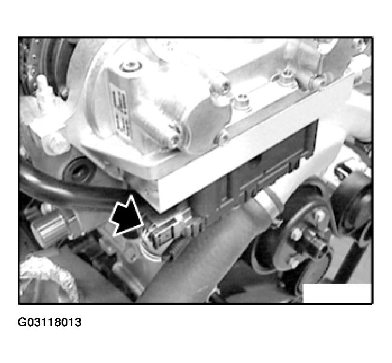 G03118013