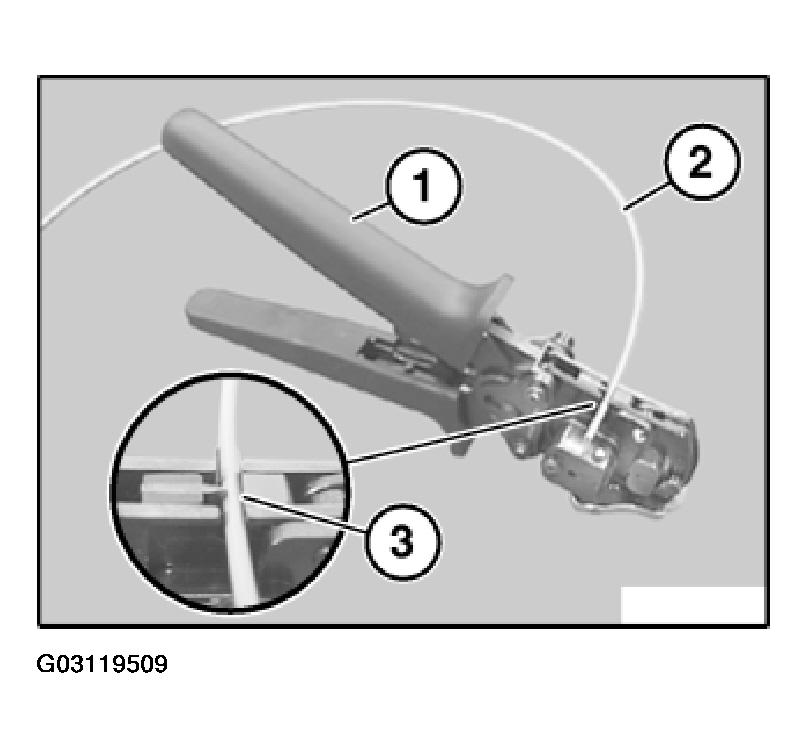 G03119509