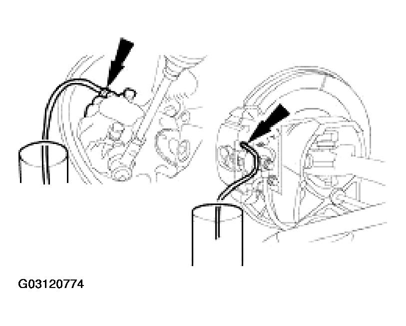 G03120774