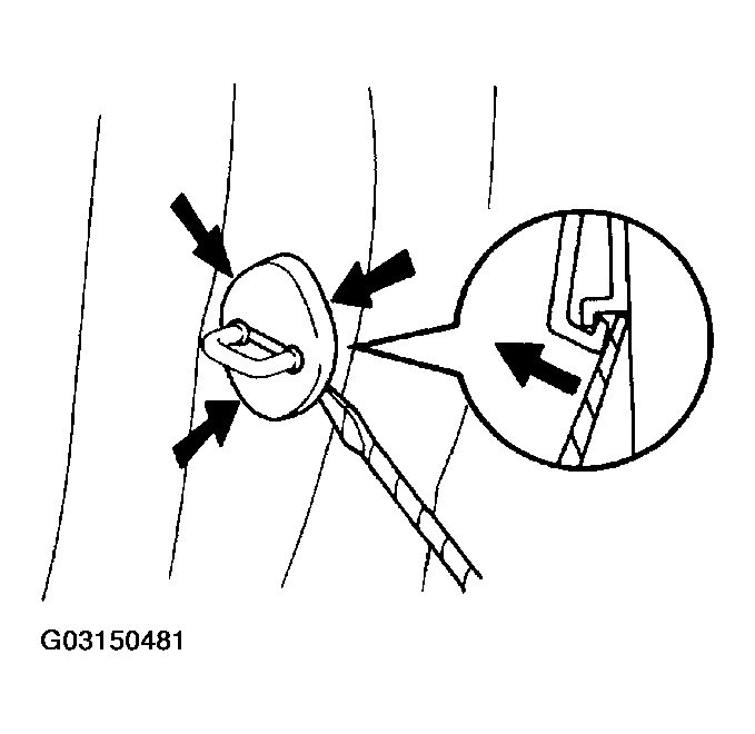 G03150481