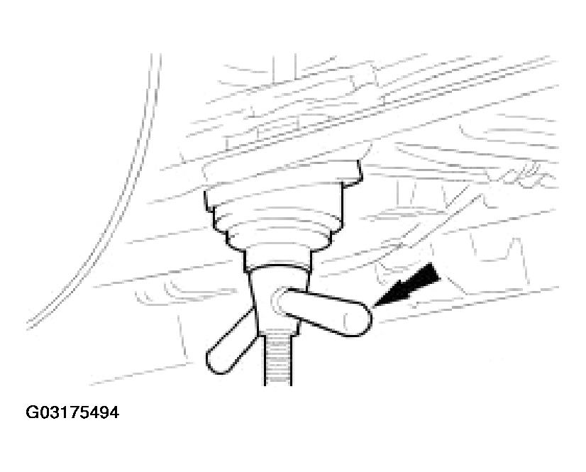 G03175494