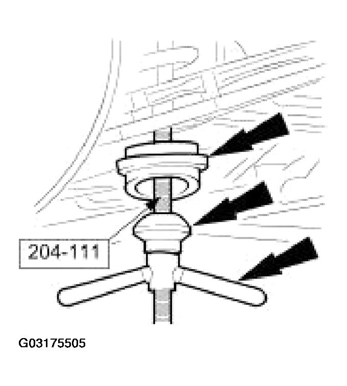 G03175505