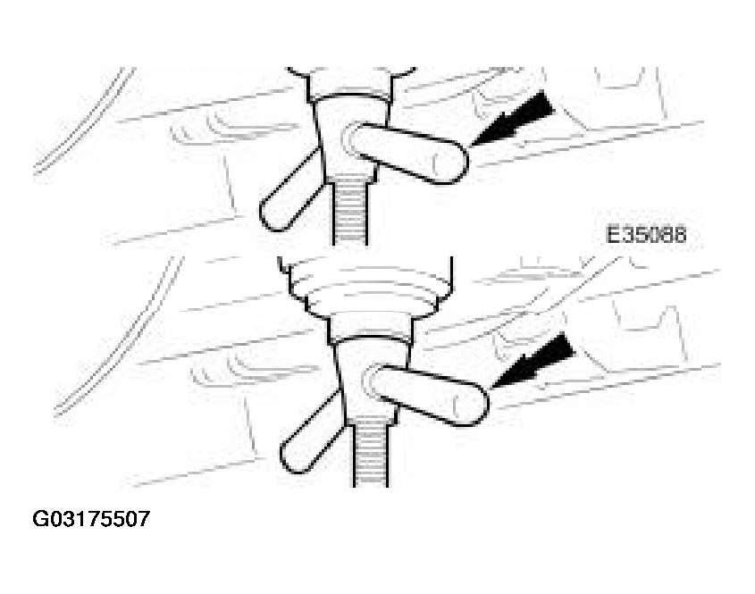 G03175507