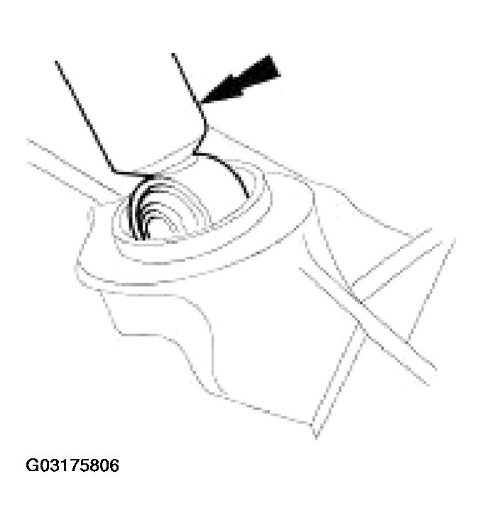 G03175806