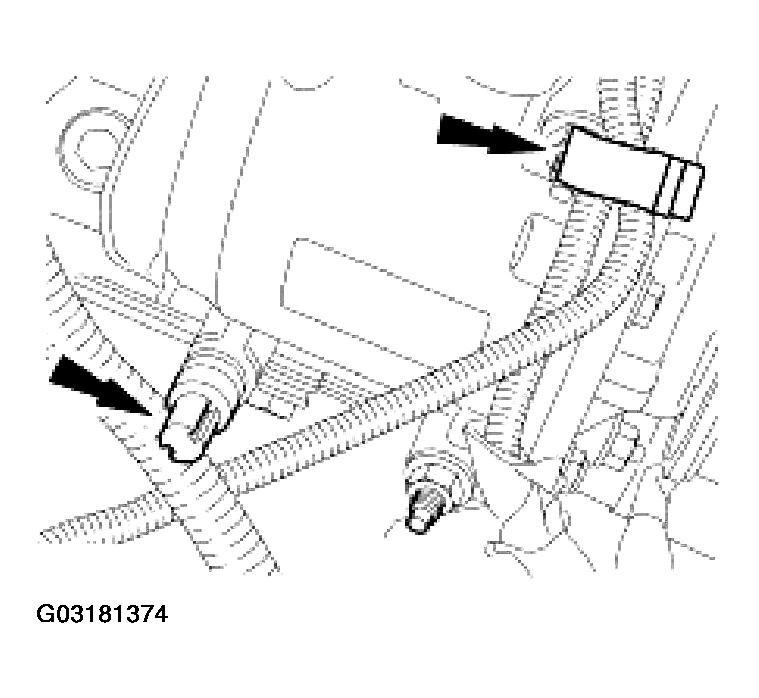 G03181374