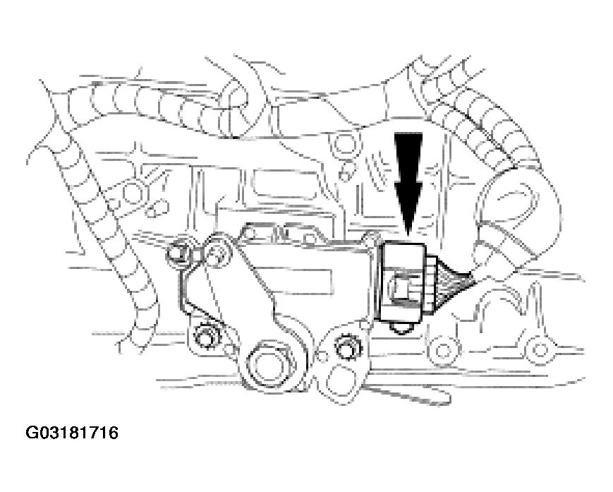 G03181716