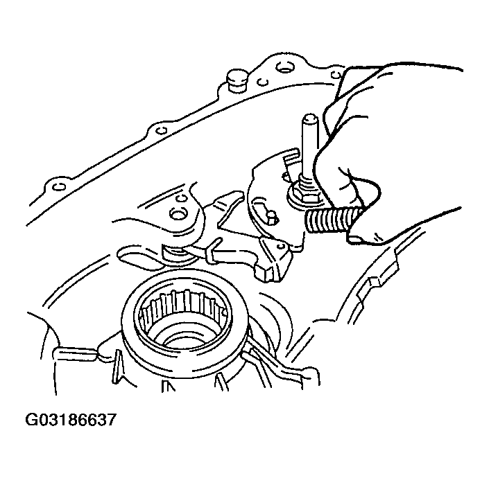 G03186637
