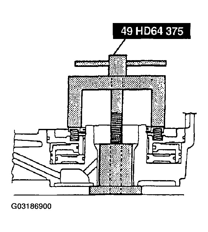 G03186900