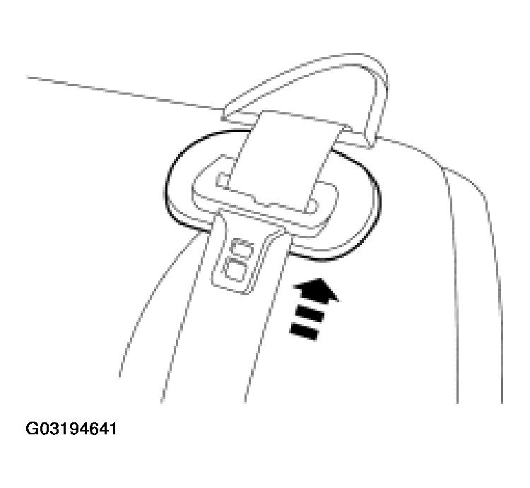 G03194641