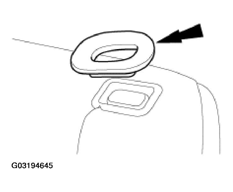 G03194645
