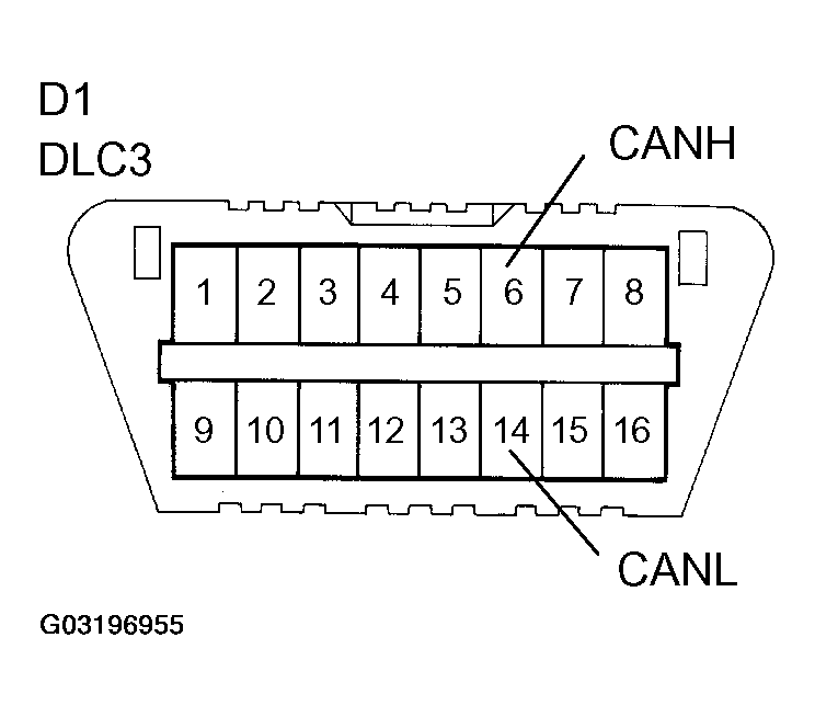 G03196955