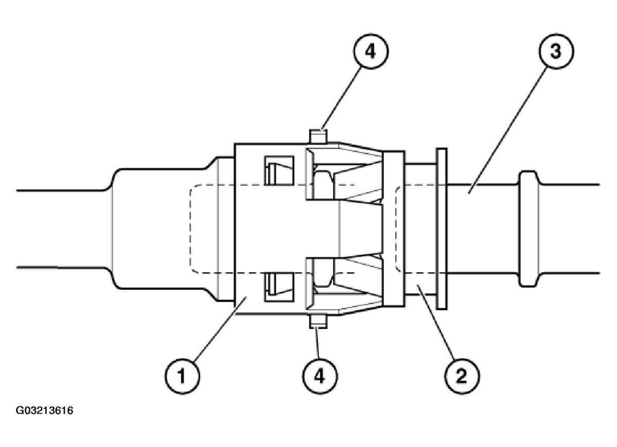 G03213616