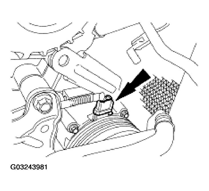 G03243981