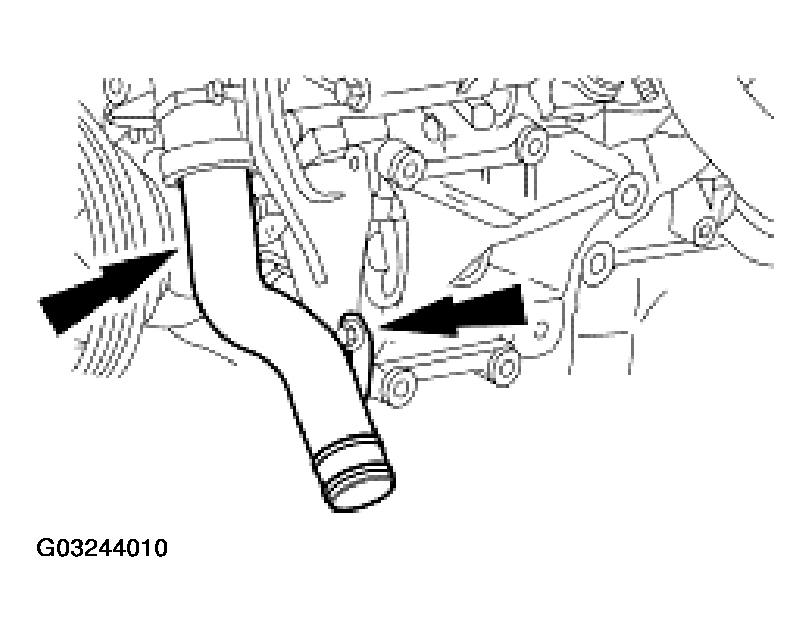 G03244010