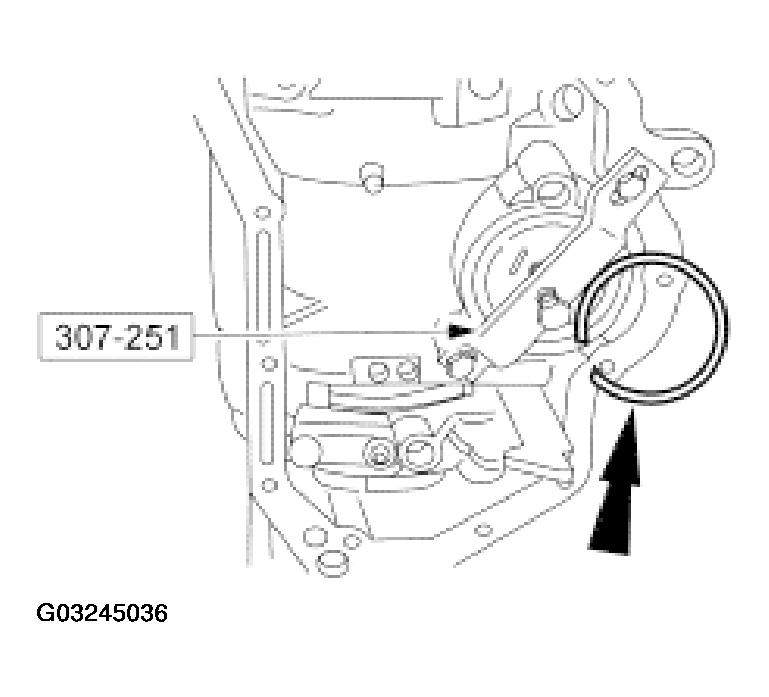 G03245036
