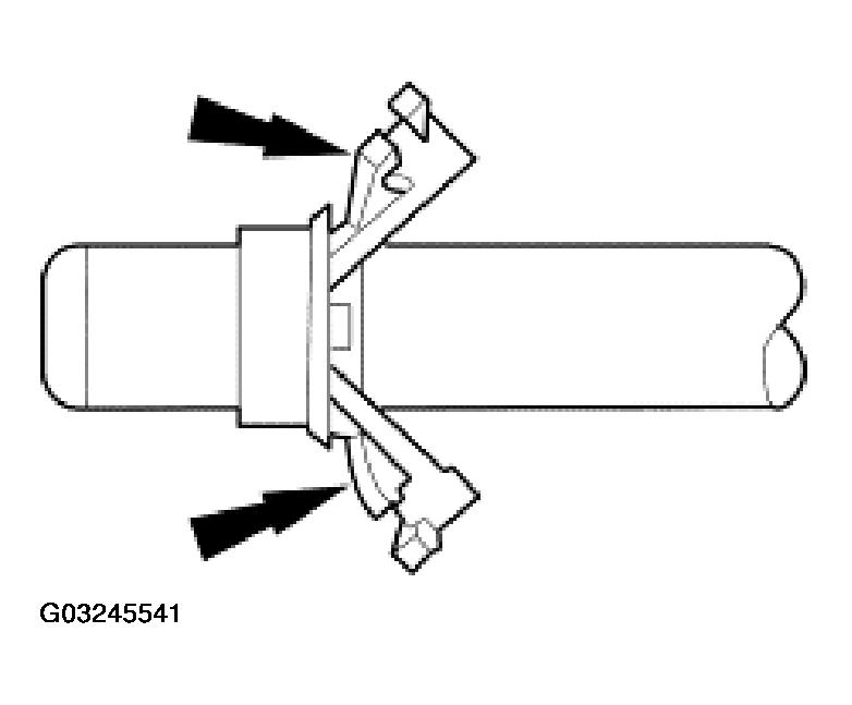 G03245541