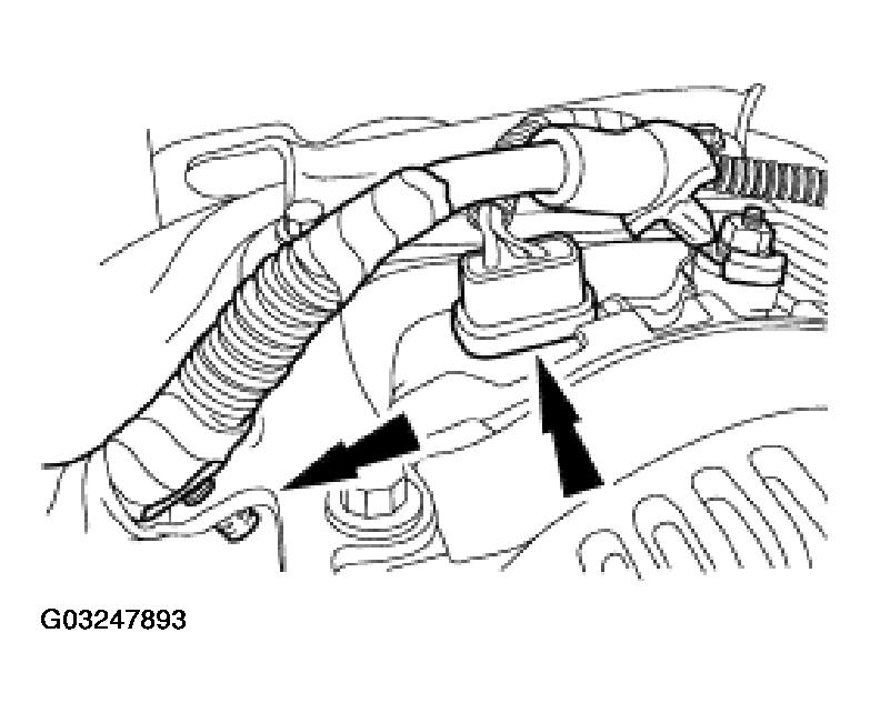G03247893
