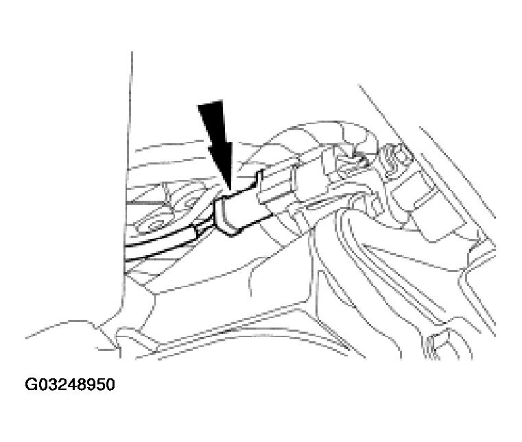 G03248950