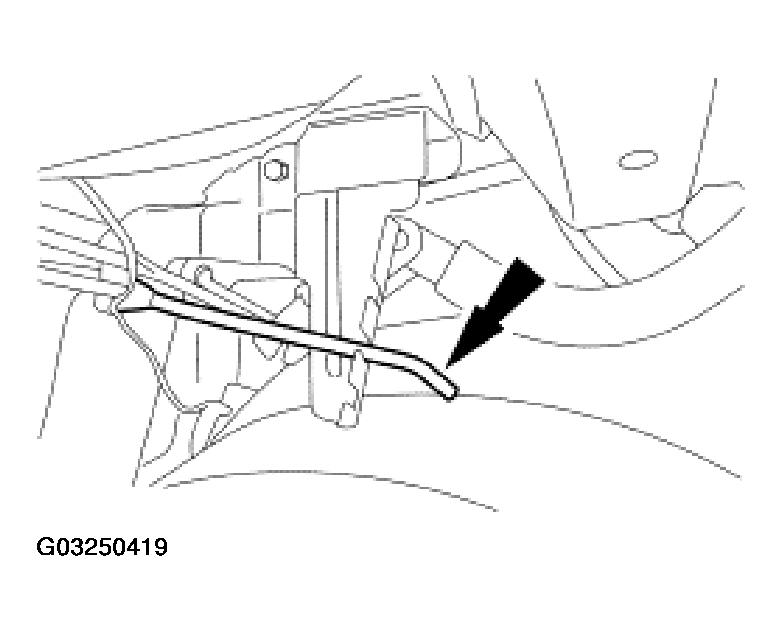 G03250419