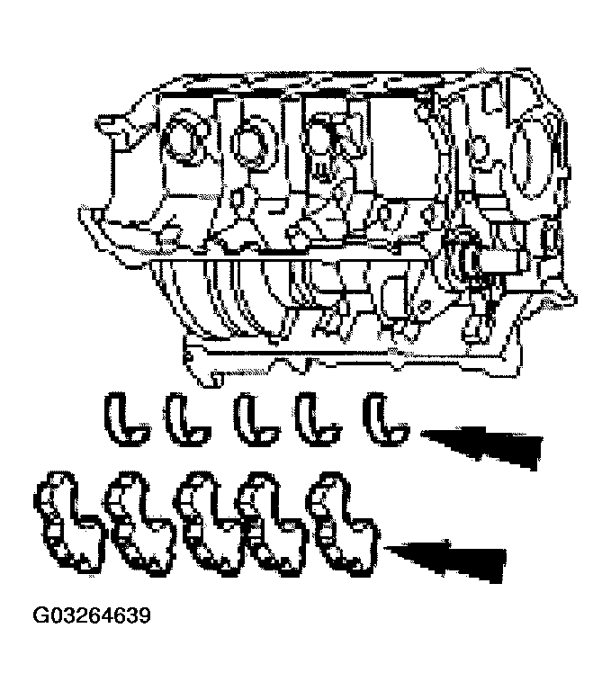 G03264639