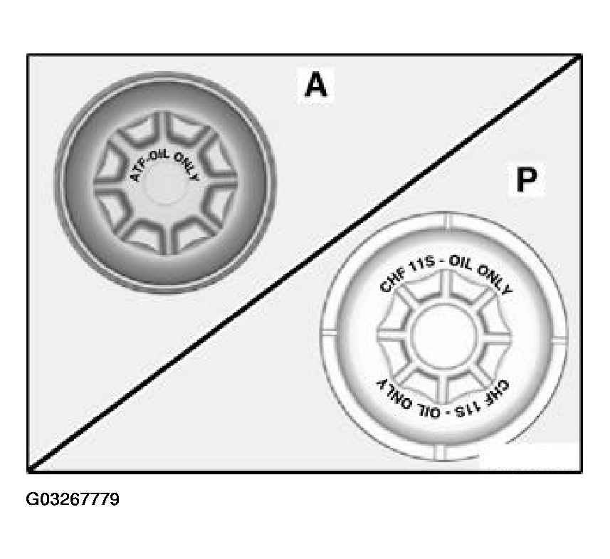G03267779