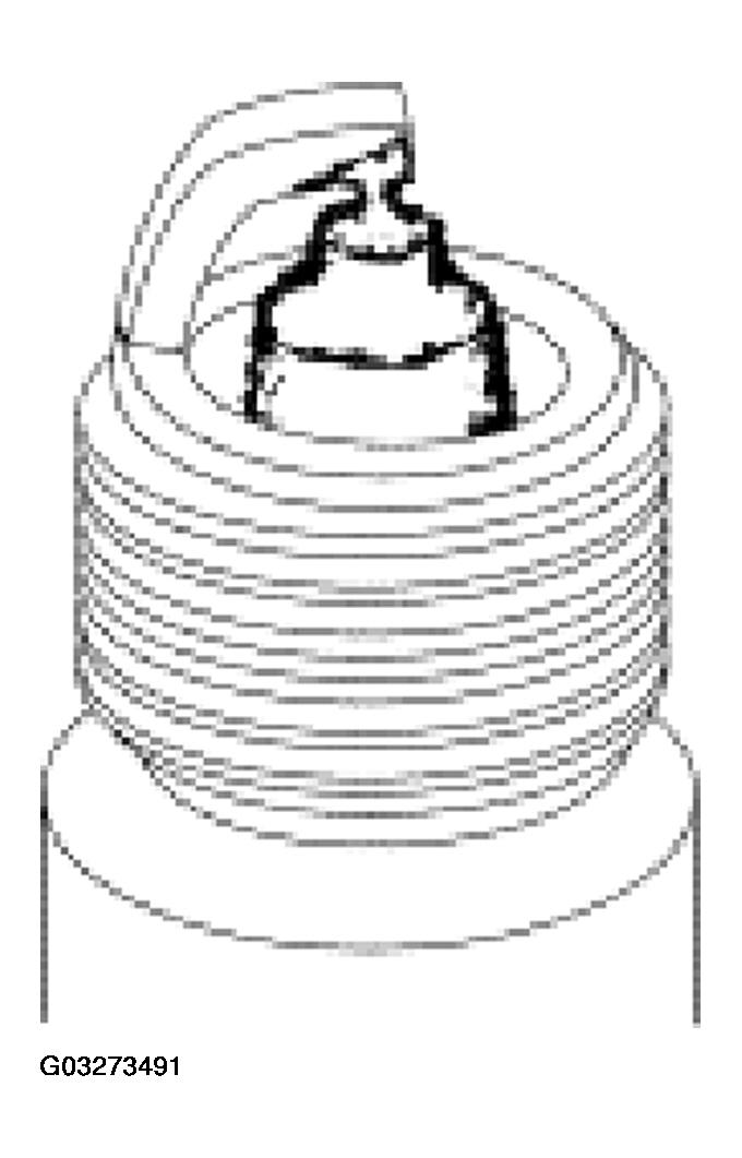 G03273491
