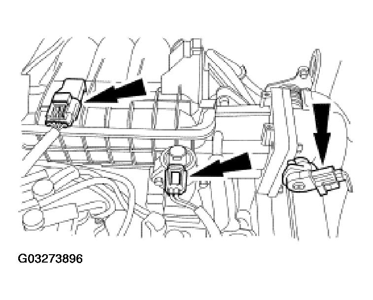 G03273896