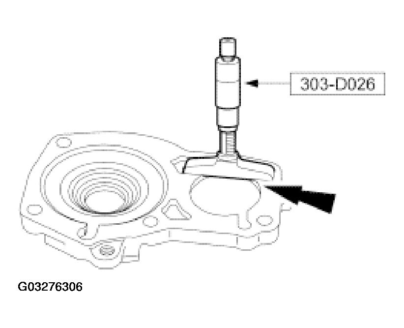 G03276306