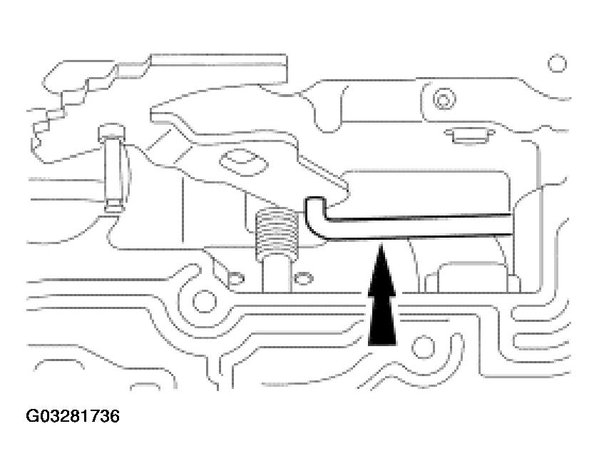 G03281736