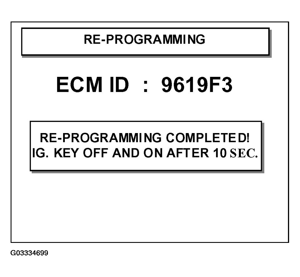 G03334699
