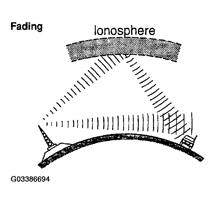 G03386694