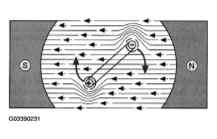G03390231