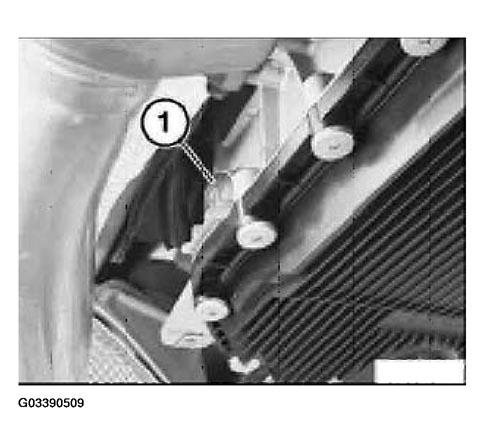 G03390509