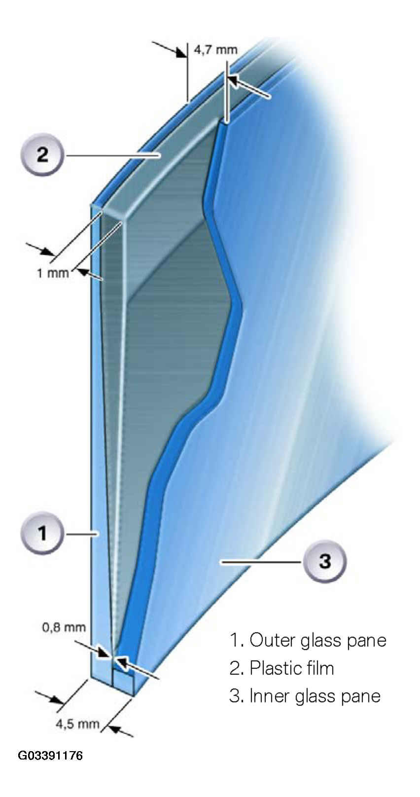 G03391176