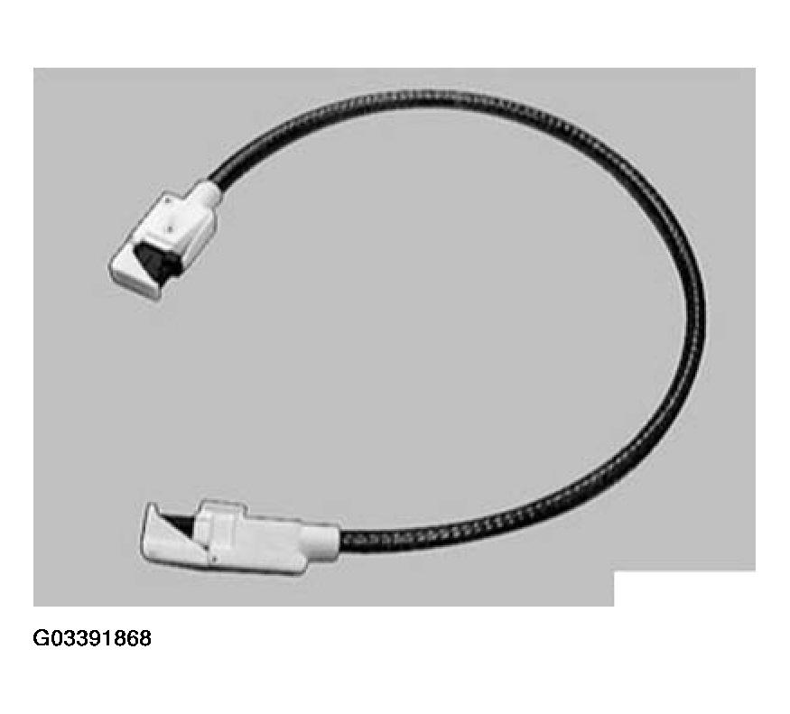 G03391868