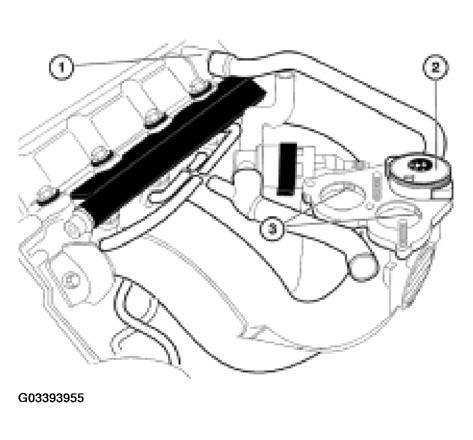 G03393955