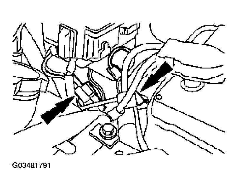 G03401791