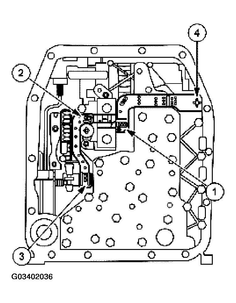 G03402036