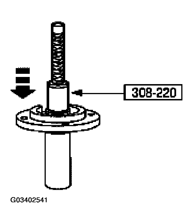 G03402541