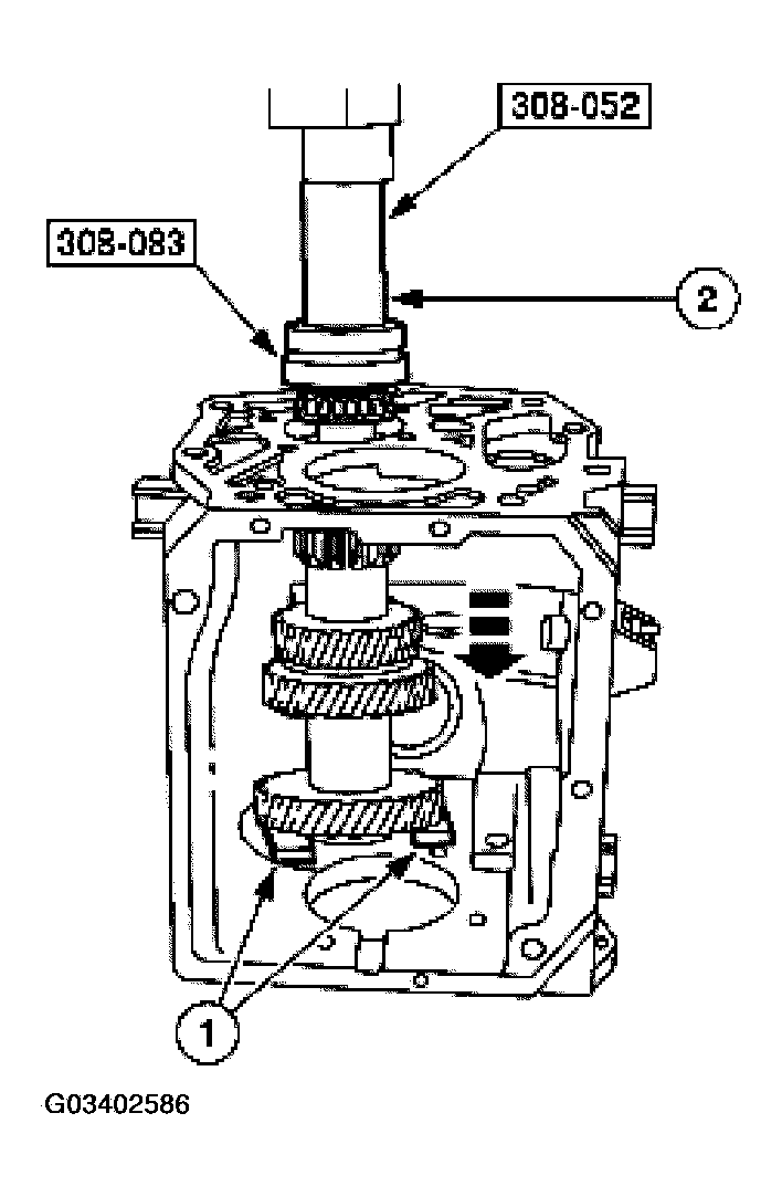 G03402586